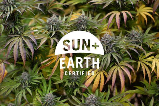 Empower Yourself: What is in Your CBD? Empower BodyCare