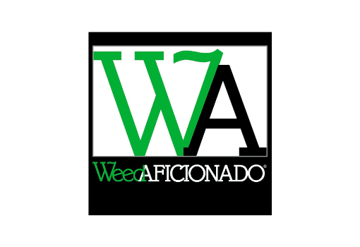 Weed Aficionado Calls on Trista Okel to Address Industry Challenges, Inspire Fellow Entrepreneurs Empower BodyCare